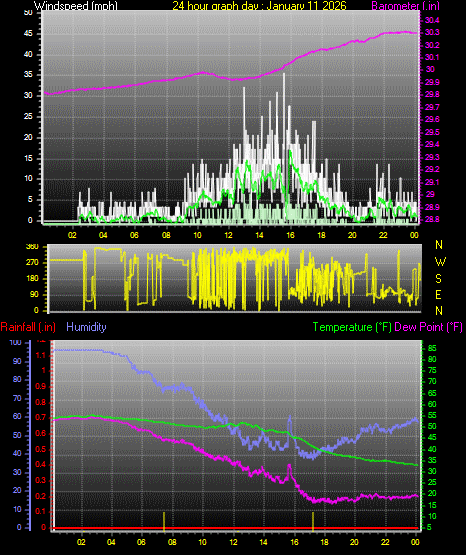 24 Hour Graph for Day 11