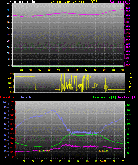 24 Hour Graph for Day 11
