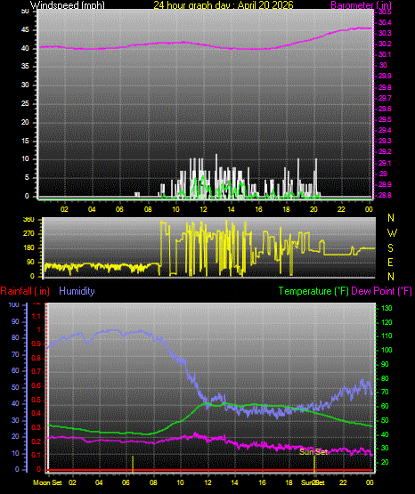 24 Hour Graph for Day 20